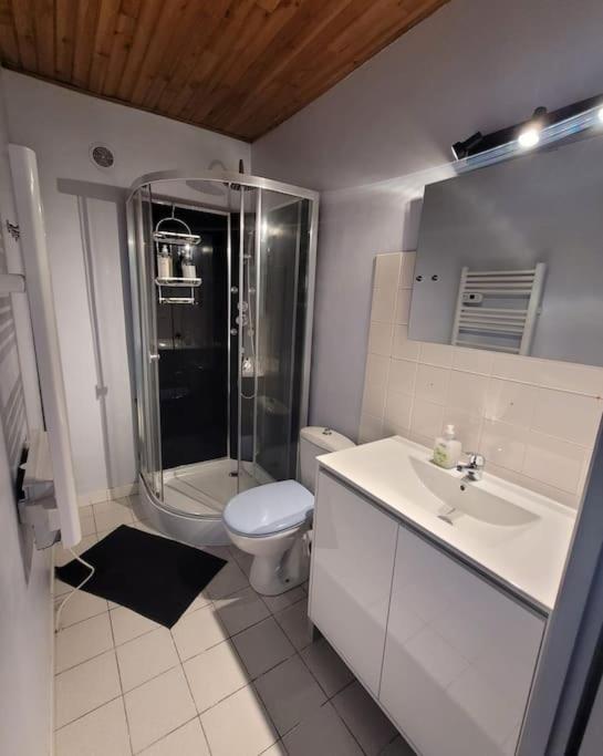 Appartement Calme Vizille Esterno foto